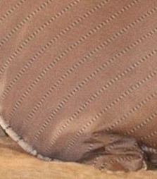 cheap aricept online